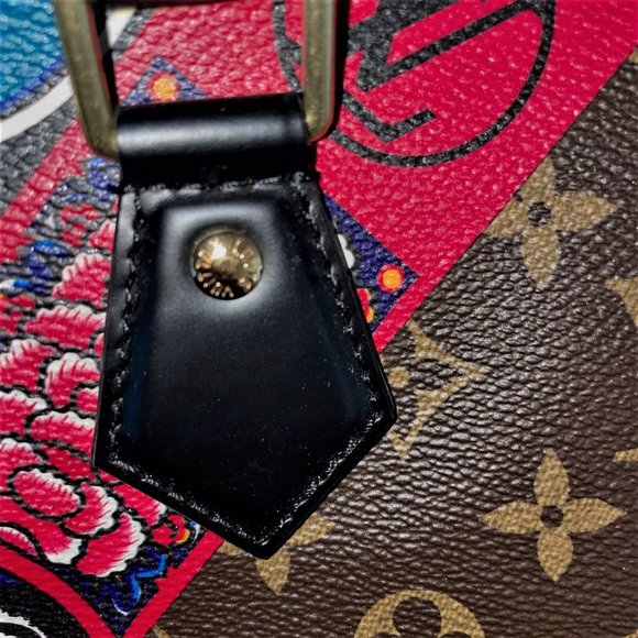 NWT Louis Vuitton Kabuki Speedy 30 Handbag Limited Edition Monogram New Tadashi - Picture 6 of 14
